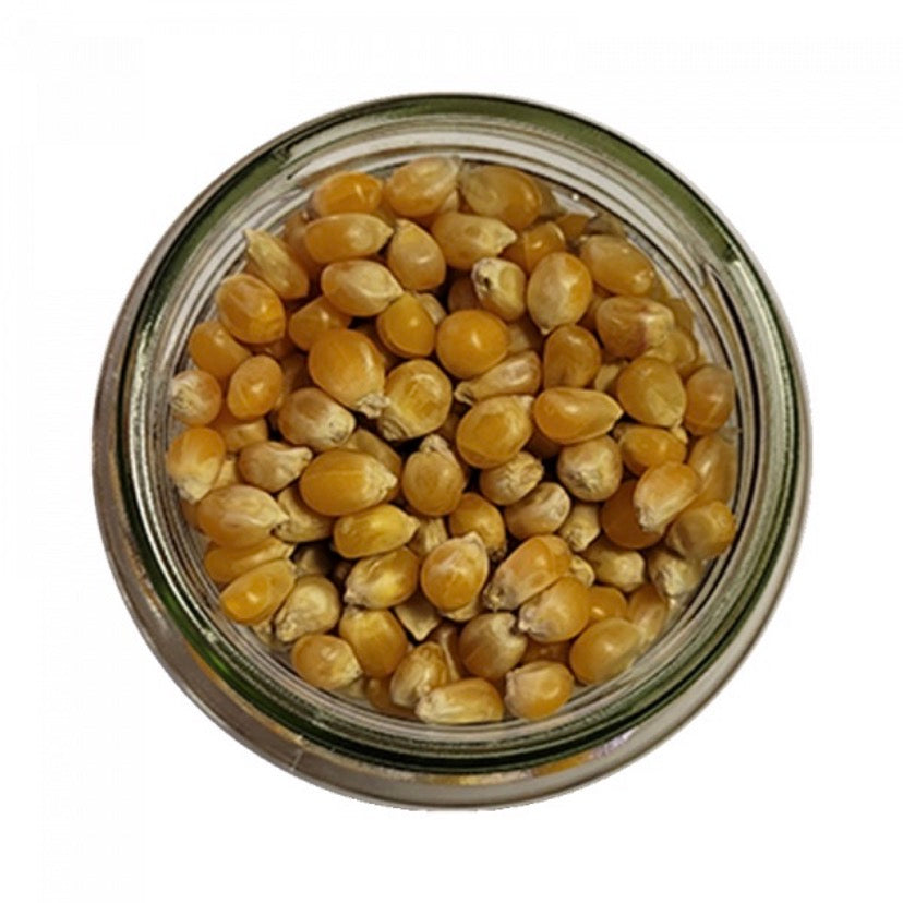 MAIS POP CORN 500G X20