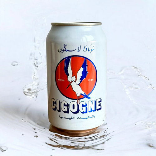 CIGOGNE CANNETTE 25CL X24