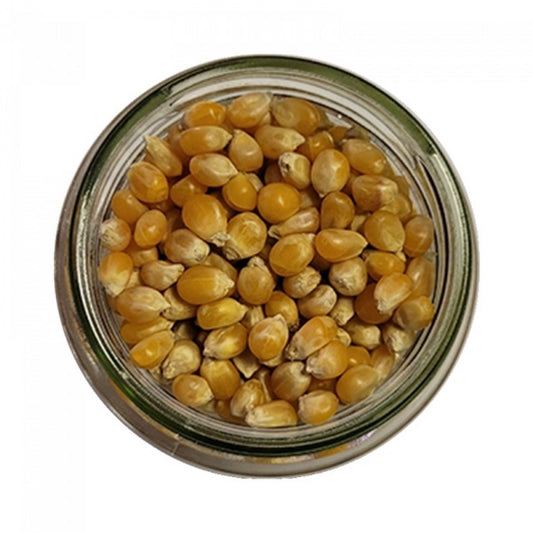 MAIS POP CORN 1KG X12