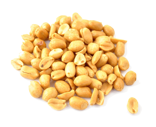 ARACHIDE GRILLÉ SALÉE 500G X20