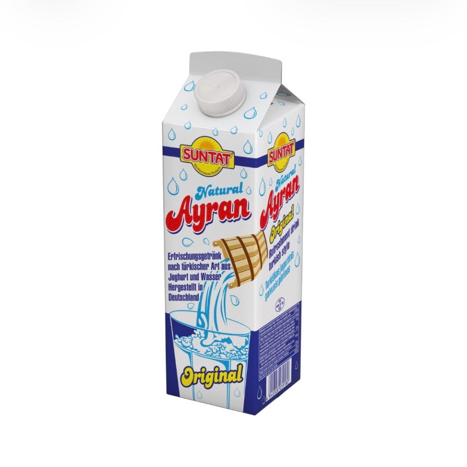 AYRAN BRIQUE 1L X10